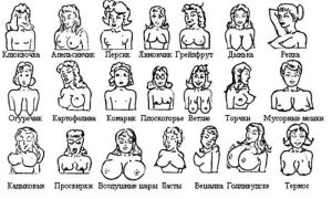 Классификация и виды груди у женщины