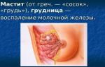 Очковый какаду: загадочный лисенок мира пернатых