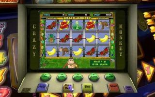 Обзор онлайн игрового автомата Crazy Monkey